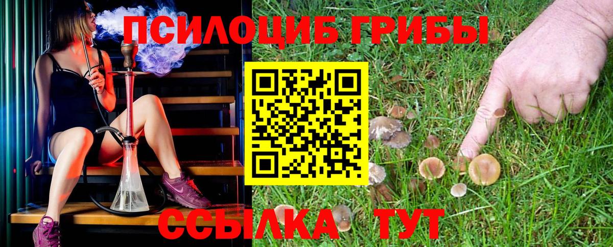 Псилоцибиновые грибы Magic Shrooms  Вход с VPN  Старая Русса 